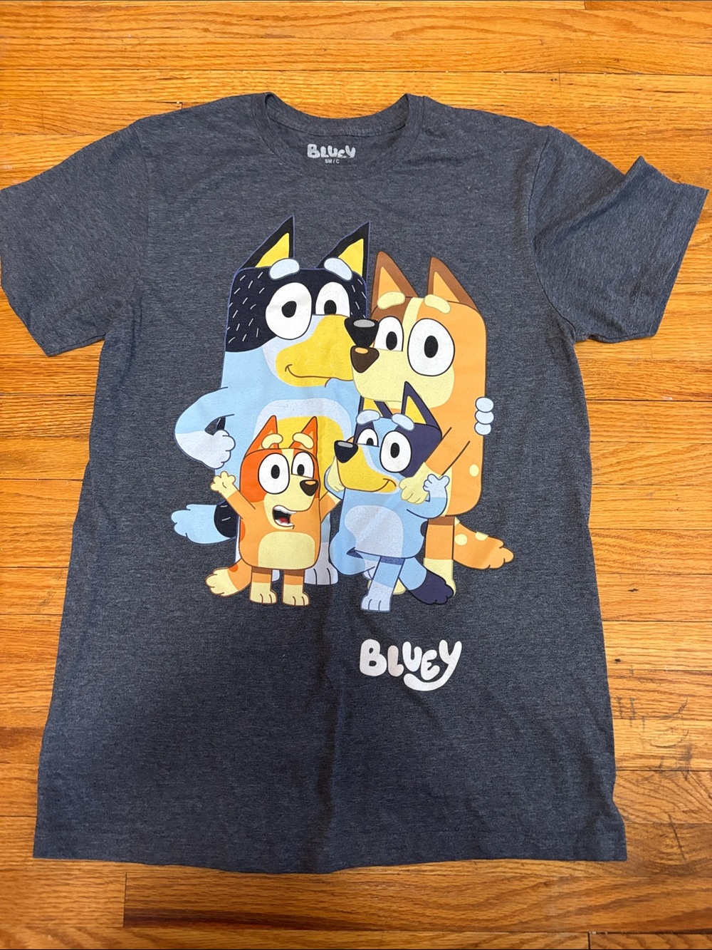 Bluey Family Graphic Tee - Charcoal with Multicolor Print